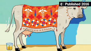 Symbolic Depiction of Cow in An illustrated cow covered with a decorated cloth featuring medical symbols, representing traditional beliefs in the medicinal value of cow products.